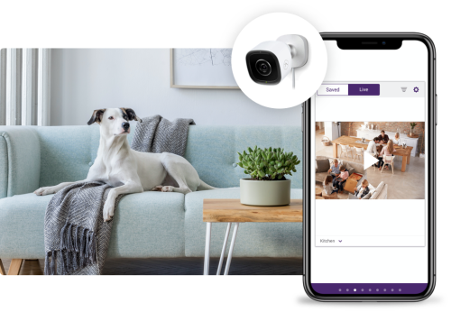 telus security 
